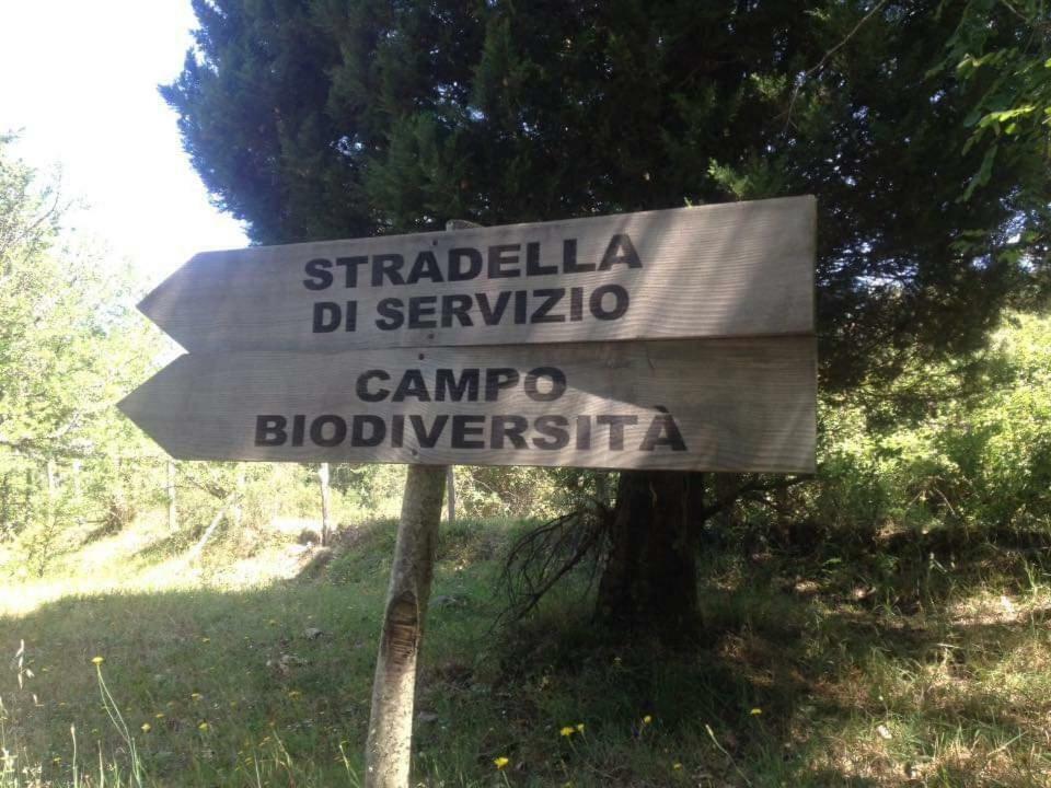 Valle Maira, Agriturismo Nel Parco Dei Nebrodi Villa Tortorici Exteriör bild